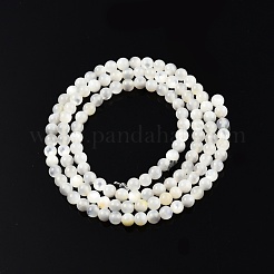 Natural White Shell Bead Strands&nbsp;SSHEL-N003-144C-01