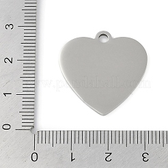 Non-Tarnish 304 Stainless Steel Pendants&nbsp;STAS-L279-005P