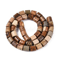 Natural Picture Jasper Beads Strands&nbsp;G-Q606-01A-01