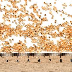 Baking Paint Silver Lined Glass Seed Beads&nbsp;SEED-H003-09A