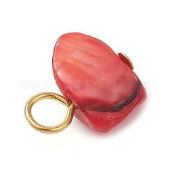 Dyed Natural Sea Shell Nuggets Charms&nbsp;PALLOY-JF04307-02