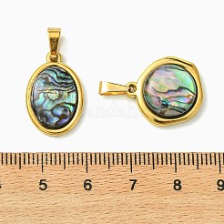 Natural Paua Shell & Acrylic  Pendants&nbsp;PALLOY-JF05942-01