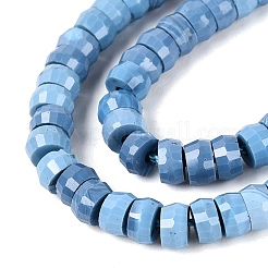 Synthetic Turquoise Beads Strands&nbsp;G-Q606-46A-04