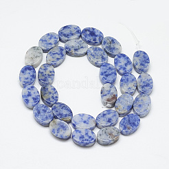 Natural Blue Spot Jasper Beads Strands&nbsp;G-T122-04M