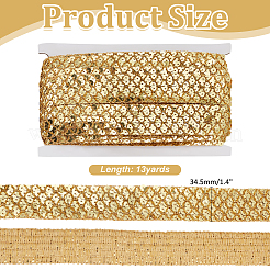 Sparkle Lace Ribbon with PVC Paillette&nbsp;OCOR-WH0078-388A