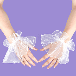 Gauze Lace Oversleeves for Women&nbsp;AJEW-WH20018-125A
