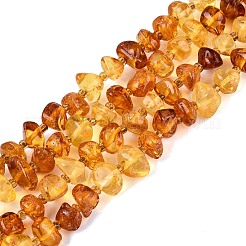 Natural Amber Beads Strands&nbsp;G-N371-20B-01