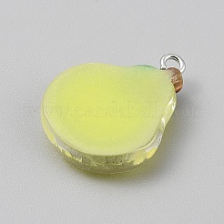 Opaque Resin Pendants&nbsp;LS-RESI-CJC0029-001A-02