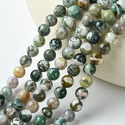 Natural Tree Agate Round Gemstone Beads Strands&nbsp;G-R255-8mm
