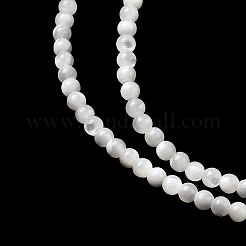 Natural White Shell Beads&nbsp;G-N0190-11-2mm
