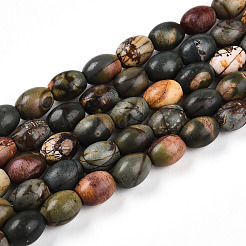 Natural Picasso Jasper/Polychrome Jasper Beads Strands&nbsp;G-N346-02B-05