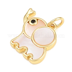 Brass Micro Pave Clear Cubic Zirconia Pendants&nbsp;KK-H273-20G