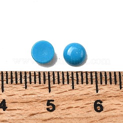 Synthetic Turquoise Cabochons&nbsp;G-C070-02C