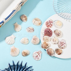 100G 2 Styles Clam Shell Beads&nbsp;SSHEL-YW0001-08