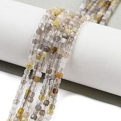 Natural Botswana Agate Beads Strands&nbsp;G-H042-B07-01
