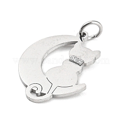 Non-Tarnish 304 Stainless Steel Pendants&nbsp;STAS-E205-04P