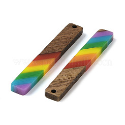 Pride Rainbow Theme Resin & Walnut Wood Pendants&nbsp;WOOD-K012-06A