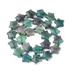 Natural Fluorite Beads Strands&nbsp;G-K359-E14