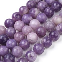 Natural Lepidolite/Purple Mica Stone Beads Strands&nbsp;G-K415-8mm