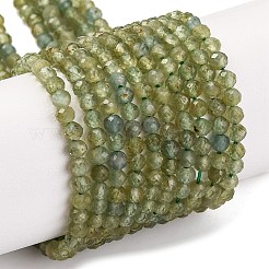 Natural Green Apatite Beads Strands&nbsp;G-F770-C03-02