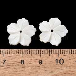 Natural Freshwater Shell Carved Pendants&nbsp;SHEL-K006-69B