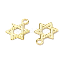 Brass Charms&nbsp;KK-F880-09G