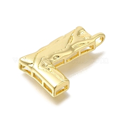 Rack Plating Brass Pendants&nbsp;KK-I721-02G-L