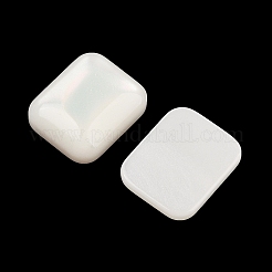 Opaque Resin Decoden Cabochons&nbsp;CRES-I036-09C