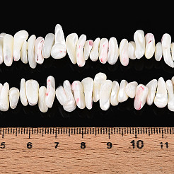 Natural Trochid Shell/Trochus Shell Beads Strands&nbsp;SSHEL-T017-29