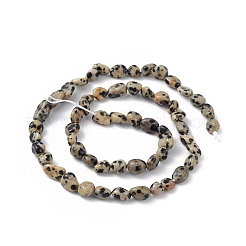 Natural Dalmatian Jasper Beads Strands&nbsp;G-B039-03B
