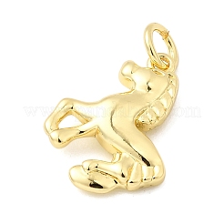 Brass Charms&nbsp;KK-I364-02G-06