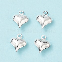 304 Stainless Steel Charms&nbsp;STAS-I138-11A-S