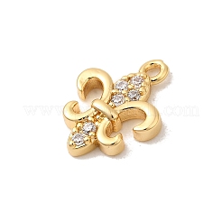 Brass Micro Pave Cubic Zirconia Charms&nbsp;KK-P340-40G