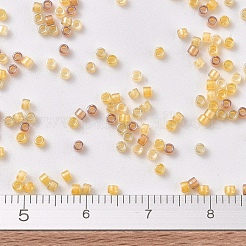 MIYUKI Delica Beads&nbsp;SEED-JP0008-DB2061