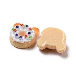 Imitation Food Resin Decoden Cabochons&nbsp;X-CRES-R199-04