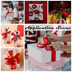 Red Satin Ribbon for DIY Craft Hair Accessories&nbsp;X-RC25mmY026