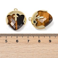 Natural Tiger Eye Faceted Pendants&nbsp;G-K347-09G-02
