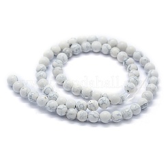 Synthetic Turquoise Beads Strands&nbsp;G-P386-01-10mm