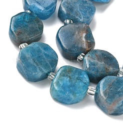 Natural Apatite Beads Strands&nbsp;G-I394-D20