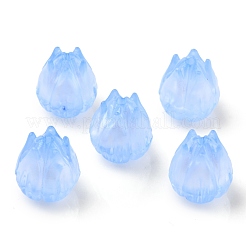 Transparent Acrylic Beads&nbsp;OACR-K005-13