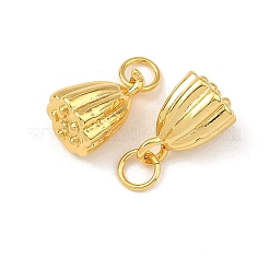 Brass Charms&nbsp;KK-F941-42A-G