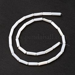Natural Freshwater Shell Beads Strands&nbsp;X-SHEL-M018-10