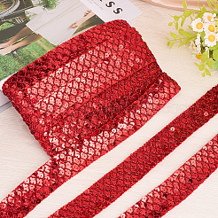 Polyester with PT Paillette Lace Trim Ribbon&nbsp;OCOR-WH20073-01A