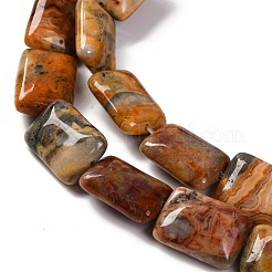 Natural Crazy Agate Beads Strands&nbsp;G-T047-B18-01