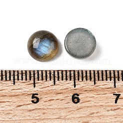 Natural Labradorite Cabochons&nbsp;G-D804-02