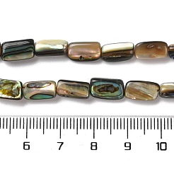Natural Paua Shell Beads Strands&nbsp;SSHEL-B002-14