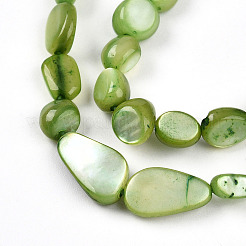 Natural White Shell Beads Strands&nbsp;SHEL-N036-21D