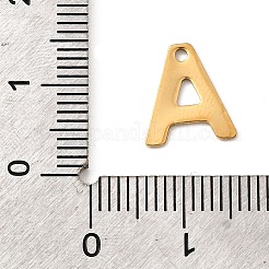 304 Stainless Steel Charms&nbsp;STAS-B093-12G