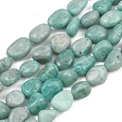 Natural Amazonite Beads Strands&nbsp;G-P606-A01-01