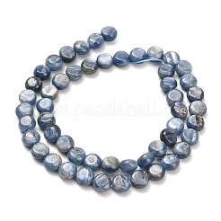 Natural Kyanite Beads Strands&nbsp;G-H335-K01-8mm